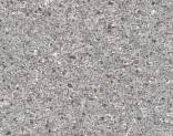  Lentex Orion 451 04