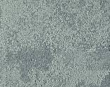   327120 Lichen