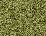   Desso Twist 7018