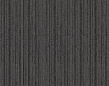   300302 Sycamore