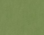  Forbo Marmoleum Real 3223Emerald