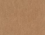  Forbo Marmoleum Real 3233Shitake