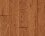  Lentex Orion 431 03