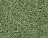   5235 (Kiwi)
