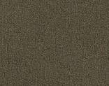   8557 Bronze