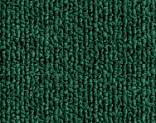   Horizon 55803