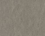  Forbo Marmoleum Real 2629 Eiger