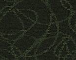   332023 Score