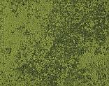   327123 Grass