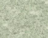  Polyflor Stone FX PUR 5650