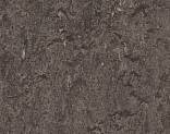  Forbo Marmoleum Decibel 304835