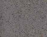  "Grabo" DIAMOND Standart Plaza 4115-458