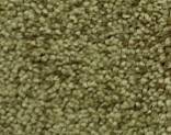  500 Light Olive
