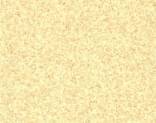  Polyflor Gallery FX Acoustic 6735