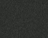   5589 Carbon