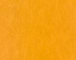  Forbo Marmoleum Real 3125Golden Sunset