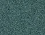   338422 Chameleon