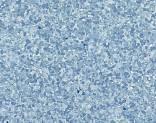  GRANIT SD 718 