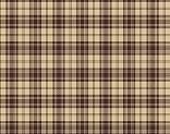  TENIN-umber 