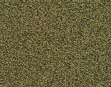   Desso Sand 7081