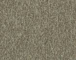   5582 Oak