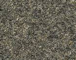  745 S-L-079