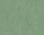  Forbo Marmoleum Real 3222Jade