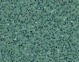  Polyflor Polysafe Standard 4110