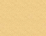   MOSS-cream