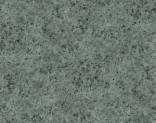  Polyflor Stone FX PUR 5700