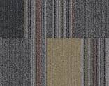  s270006/t570006