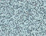  Polyflor Polysafe Standard 4540