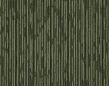   305590 Kiwi