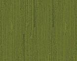   327504 Grass