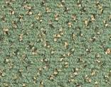   Balsan Impression 267