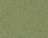   5234 (Sycamore)