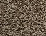  504 Rock Wall