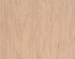  Armstrong Solid 521061