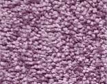  080 Just Plum